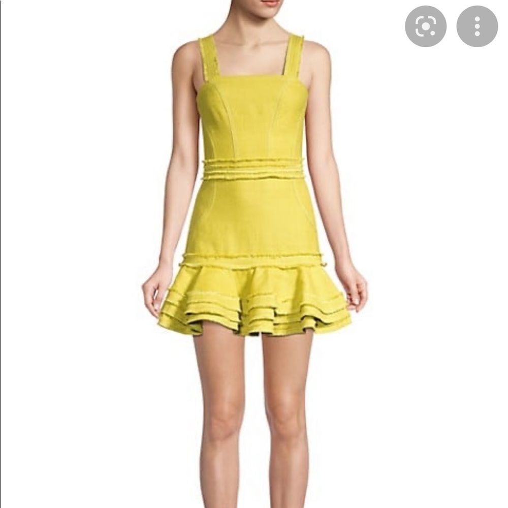 Alexis Judith dress